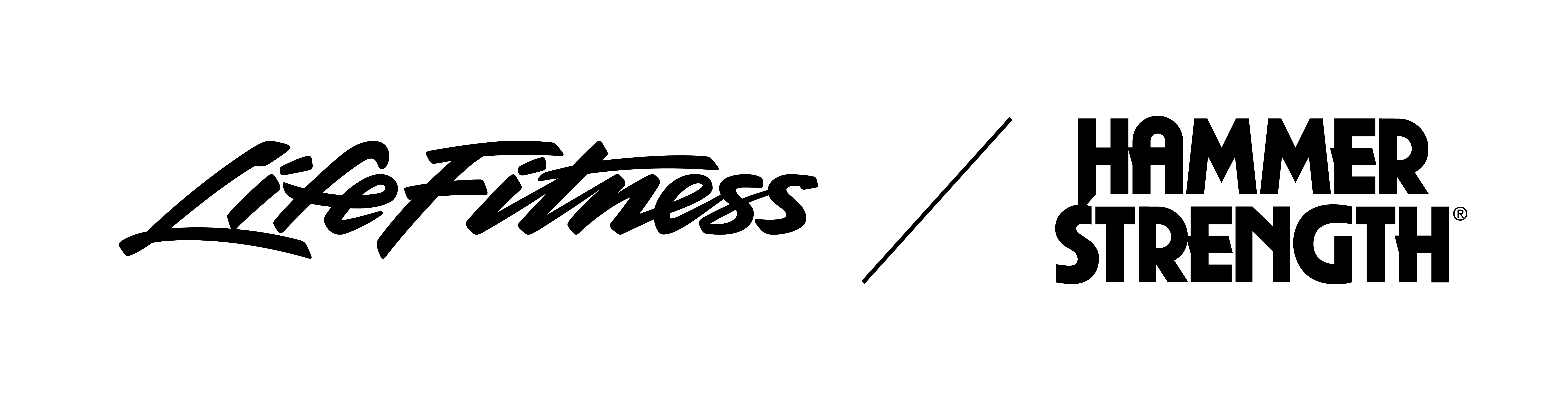 Logo Life Fitness / Hammer Strength